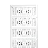 SFC-DS 1/21 MC NE WS