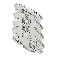 WAGO Jistič 787-3861/600-000 elektronický 1kanál vstupní napětí 24 V DC