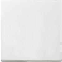 Ovladač GIRA 029627 Event bílá