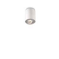 PHILIPS Svítidlo Pillar 50W GU10 IP20 56330/31/PN