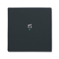 ABB Kryt 2CKA006220A0146 1násobný, symbol „scény“; antracitová; SRS-1-81