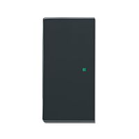 ABB Kryt 2CKA006220A0152 2násobný levý/pravý, bez potisku; antracitová; SR-2-81