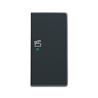 ABB Kryt 2CKA006220A0173 2násobný pravý, symbol „scény“; antracitová; SRS-2-R-81
