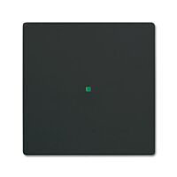 ABB Kryt 2CKA006220A0618 1násobný, bez potisku; mechová černá; SR-1-885