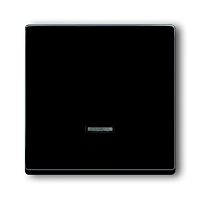 ABB Kryt FUTURE LINEAR 6599-0-2881 antracit