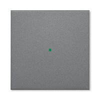 ABB Kryt LEVIT 6220H-A01000 69 1násobný, bez potisku; ocelová