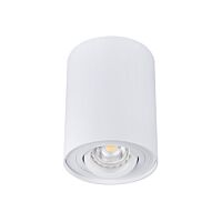 KANLUX Svítidlo BORD DLP-50-W 25W GU10 halogenové pevné IP20 bílá