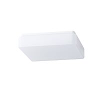 TILIA 1 LED-1L32E500NU2/PC32 DALI 3K#