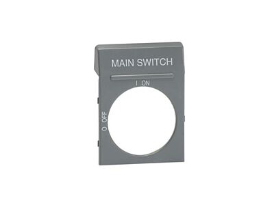 main product photo