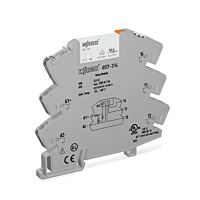 857-314 RE v. AISBAUST.6MM/24VDC 1U 5MYA