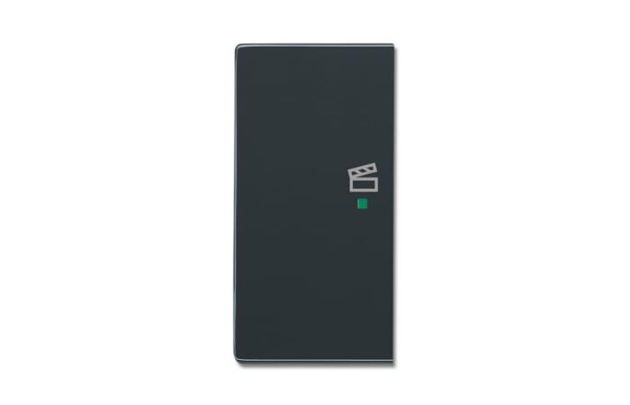 ABB Kryt 2CKA006220A0161 2násobný levý, symbol „scény“; antracitová; SRS-2-L-81