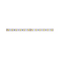 LED pásek WW-CW 24V 14,4W  10mm IP20 - 5