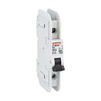 P1MBUH1PD01 Jistič 1P, D, 1A, mini