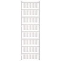 ESG 8/19 MC NE WS