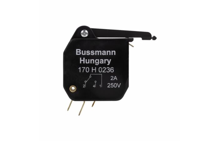 170H0236 Mikrospínač T1 2A 250V 000-3