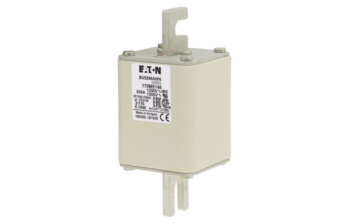 170M5146 Ultra rychlá pojistka pro ochra