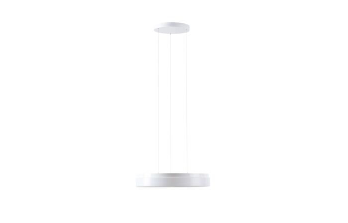 DELIA LE2 LED-1L16E700ZLEN83/PC23/L100 D
