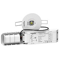 SCHNEIDER OVA48941 Exiway Smartbeam-FO IP42, 220lm