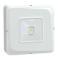 OVA46029 Exiway Smartbeam SO IP65 CBS L/