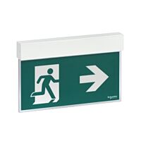Exiway Easysign/IP40/Standard/24 m/NM-M/