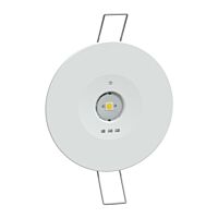 Smartbeam IP42, 220lm, 3h, DALI, LiFePO