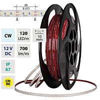 LED pásek SMD2835 CW, 120LED/m, 7,2W/m,