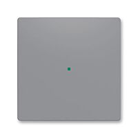 ABB Kryt ZONI 6220T-A01000 241 ovládání 1násobný, bez potisku šedá