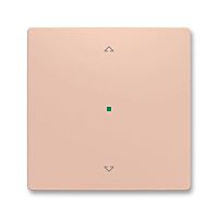 ABB Kryt ZONI 6220T-A01002 242 ovládání 1násobný, symbol "žaluzie" pudrová