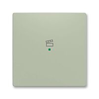 ABB Kryt ZONI 6220T-A01003 243 ovládání 1násobný, symbol "scény"olivová