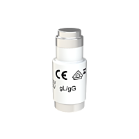 Pojistka tavná D02x50gL