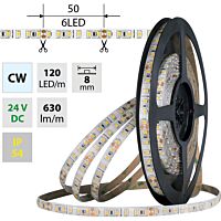 MCLED Pásek LED SMD2835 CW, 120LED/m, 9,6W/m, DC 24V, 630lm/m, CRI90, IP54, 8mm, 5m
