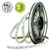 MCLED Pásek LED SMD5050 NW, 60LED/m, 14,4W/m, 1296lm/m, IP20, DC 12V, 10mm, 50m
