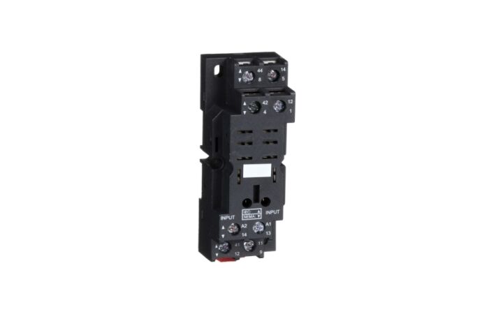SCHNEIDER Patice RPZF2