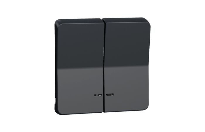 SCHNEIDER MUR34205 Klapka s kontrolku dvojnásobná,