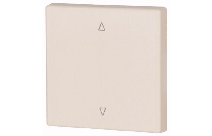 CWIZ-01/22 Kryt RF tlačítka 55x55 mm UP-