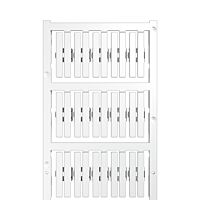 SFC-DS 1/30 MC NE WS
