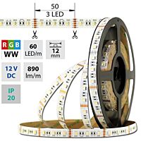 MCLED Pásek LED SMD5050 RGB + WW, 60LED/m, 19,2W/m, DC 12V, 890lm/m, IP20, 12mm, 50m