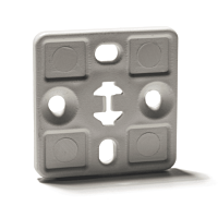 TAP 2