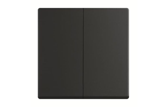 ABB Kryt 2CKA006730A0141 pro Friends of Hue smart switch; mechová černá; 6736 FoH-885