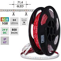 MCLED Pásek LED SMD5050 RGB + NW, 84LED/m, 15W/m, DC24V, 800lm/m, IP67, 14mm, 50m