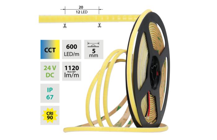 LED pásek COB dual white - 2 póly, 600LE