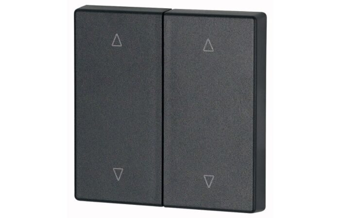 CWIZ-02/24 Kryt RF tlačítka 2x1/2 55x55