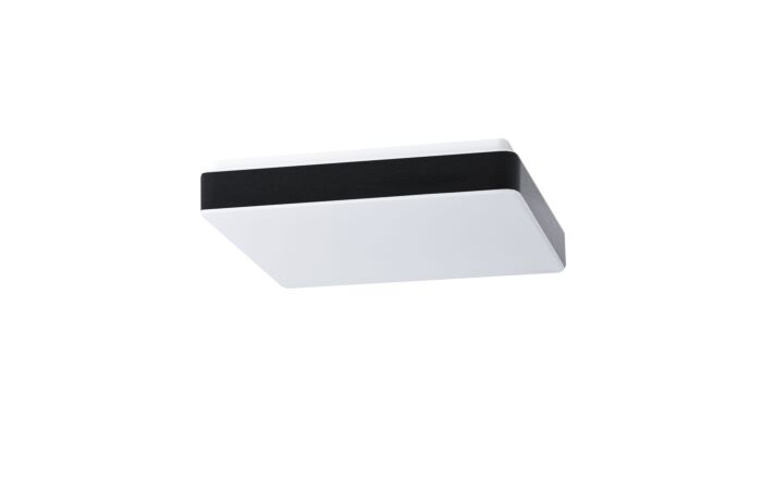 TILIA C2 LED-1L33E500NU3/PC33C HF 3K#