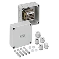 61500701 RK 4/07 - 7 x 4mm2