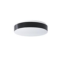 DELIA C1 PC22C