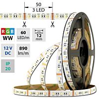 MCLED Pásek LED SMD5050 RGB + WW, 60LED/m, 19,2W/m, DC 12V, 890lm/m, IP20, 12mm, 5m