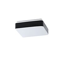 TILIA C1A LED-1L31E350NU1/PC31C DALI 4K#