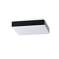 TILIA C1 LED-1L32EMP700NU2/PC32C 4K#