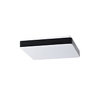 TILIA C2A LED-1L34E500NU5/PC35C HF 4K#
