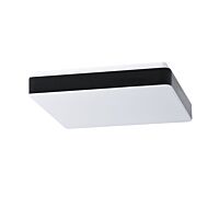 TILIA C2 LED-1L33E500NU3/PC33C 4K#